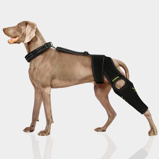 Dog leg protector