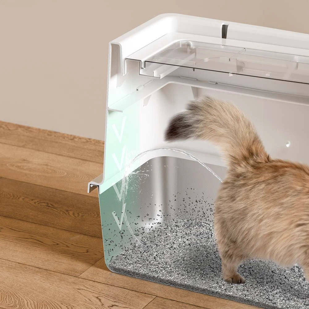 cat litter box.webp__PID:f4e8796c-c597-4317-b7e0-cb4a07cbd05e